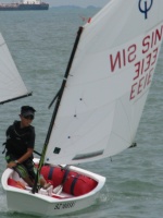 SIN 3133